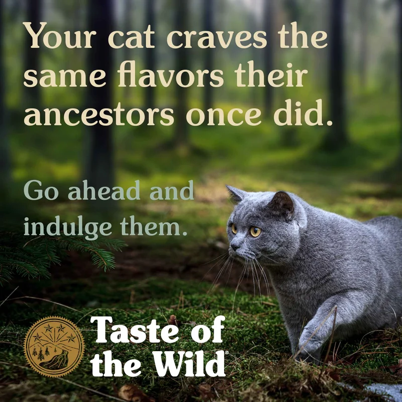 Taste of The Wild LowLand Creek Feline Recipe Dry Cat Food With Roasted Quail & Duck