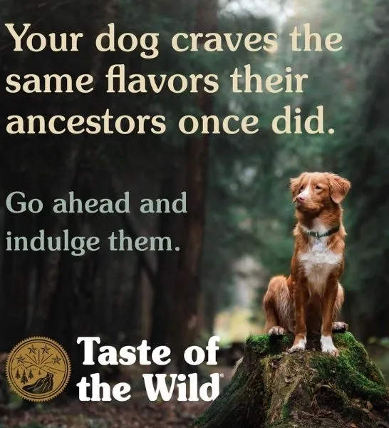 Taste of the Wild High Prairie Puppy Grain Free Dry Food