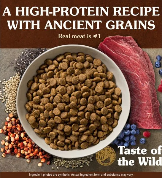 Taste of The Wild Ancient Prairie Bison & Venison Dry Dog Food