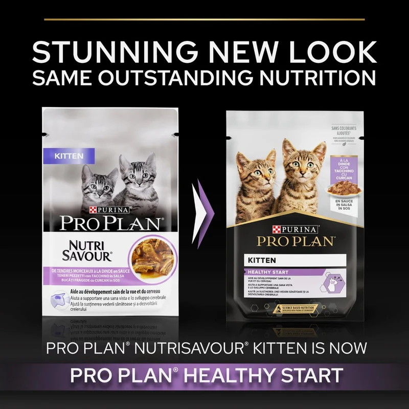 Purina Pro Plan Kitten Turkey in Gravy Wet Cat Food