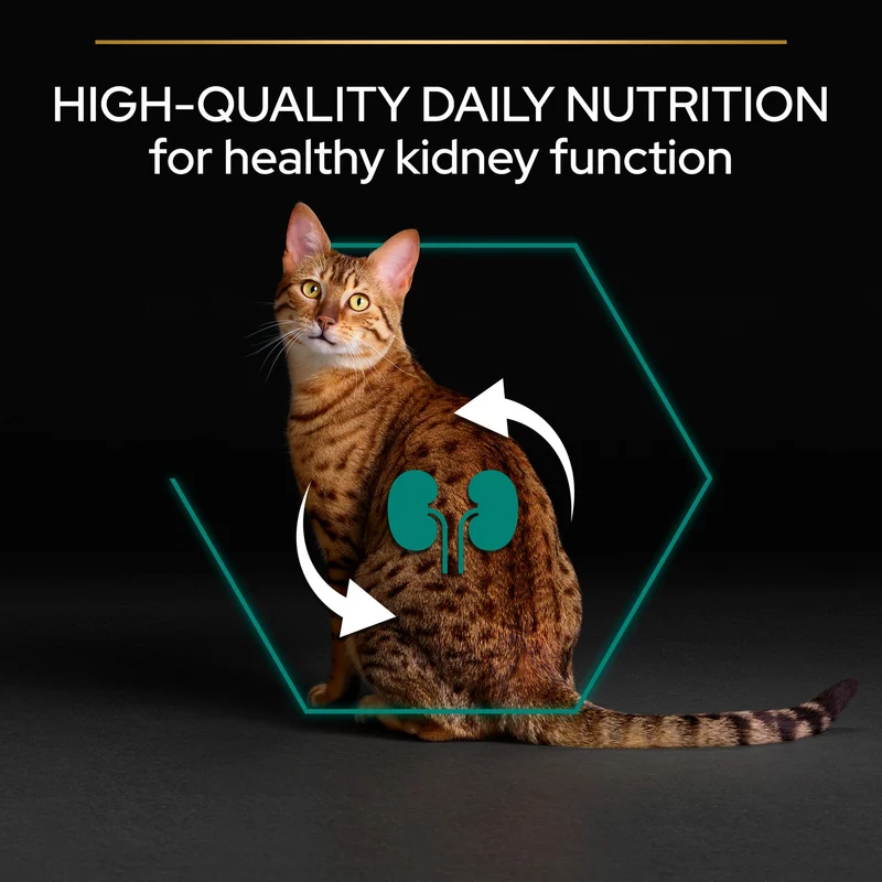 PURINA Pro Plan Adult Renal Plus Chicken Dry Cat Food