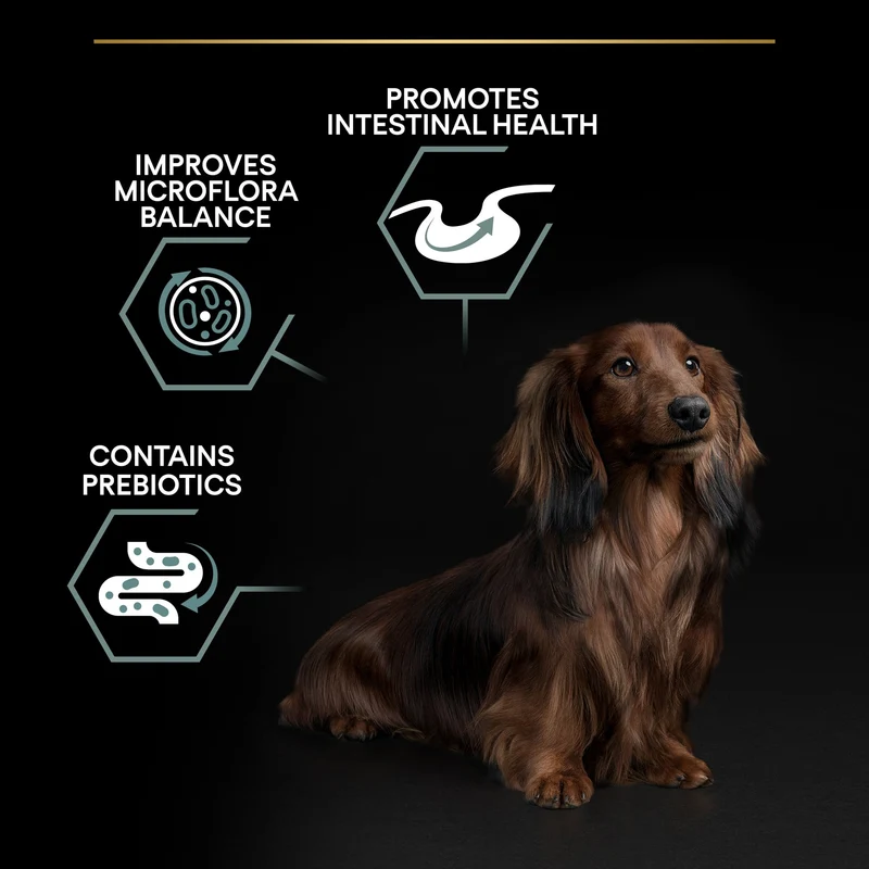 PURINA Pro Plan Sensitive Digestion Small & Mini Adult Dry Dog Food With Lamb