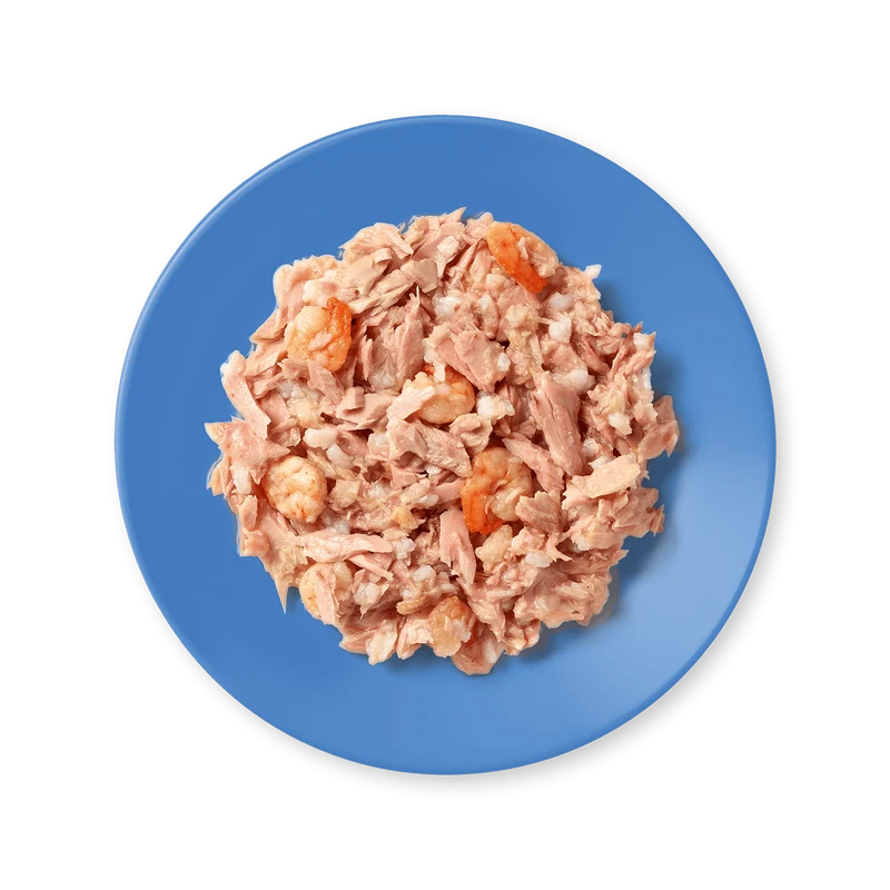 Applaws Fish Selection Pack Wet Cat Food 8X60G