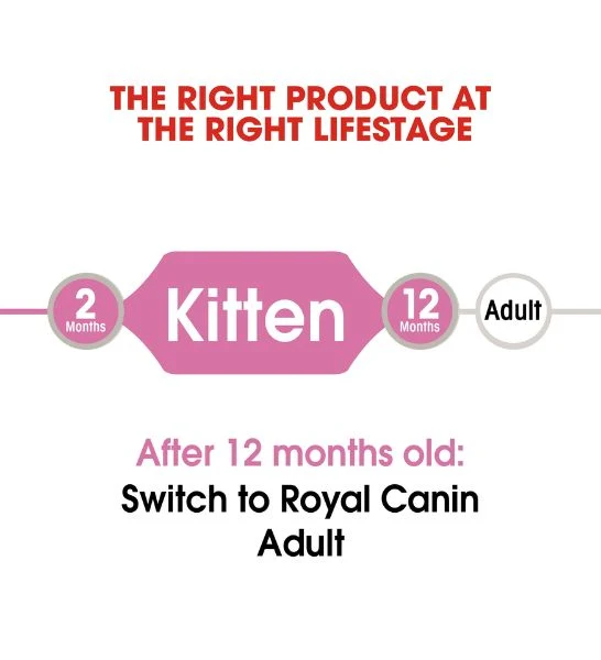 Royal Canin Kitten Instinctive in Jelly Wet Food