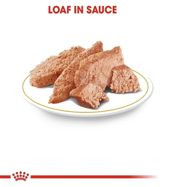 Royal Canin Poodle Adult Wet Dog Food 85G