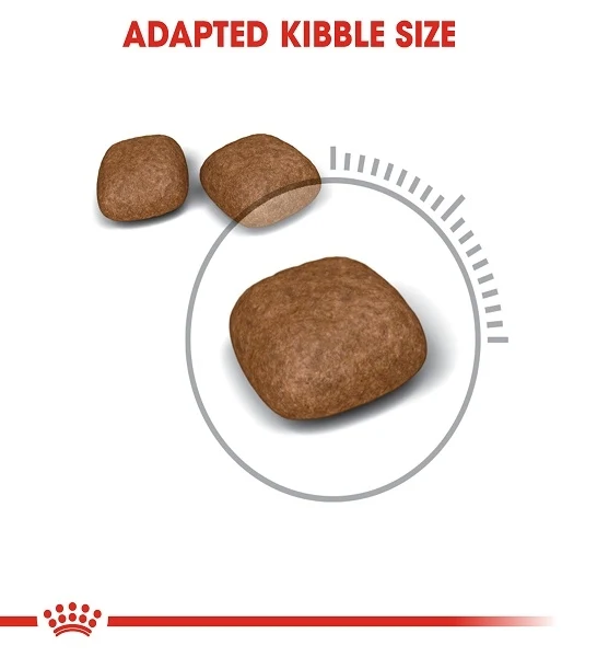 Royal Canin Urinary Care Adult Dry Cat Food