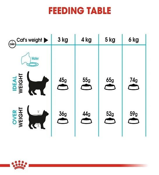 Royal Canin Urinary Care Adult Dry Cat Food