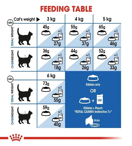 Royal Canin Home Life Indoor 7+ Dry Cat Food