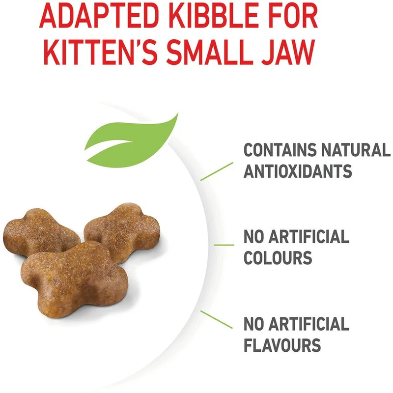 Royal Canin Kitten Dry Food