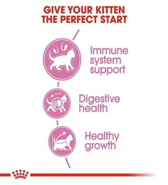 Royal Canin Kitten Dry Food