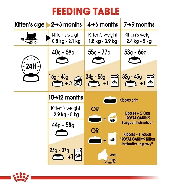 Royal Canin Persian Kitten Dry Food