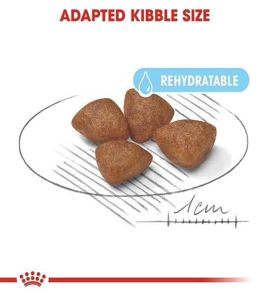Royal Canin Mini Starter Puppy Dry Food 1KG