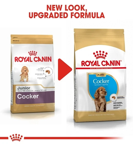 Royal Canin Cocker Spaniel Puppy Dry Food 3KG