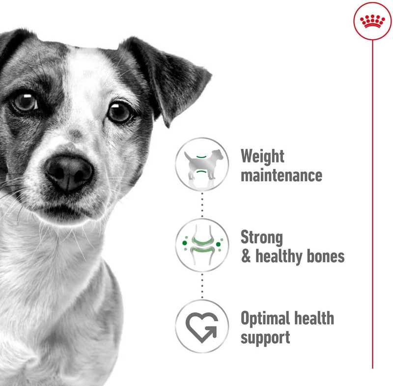Royal Canin Mini Adult Dry Dog Food