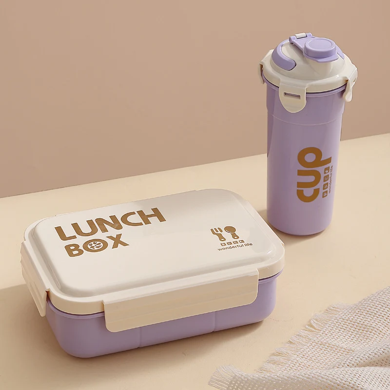 Stylische isolierte Lunchbox