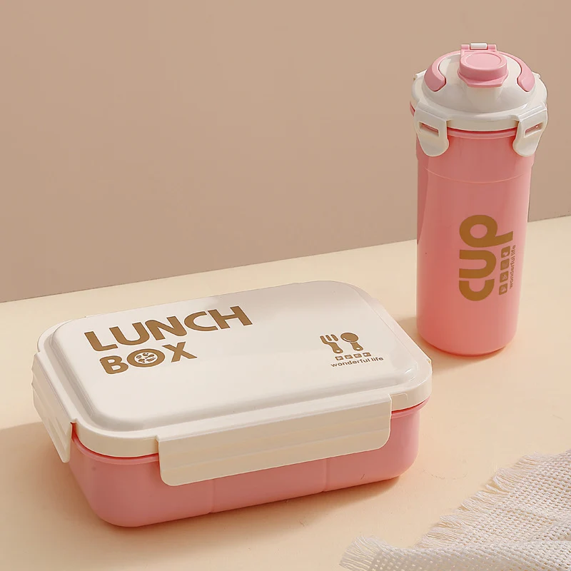 Stylische isolierte Lunchbox