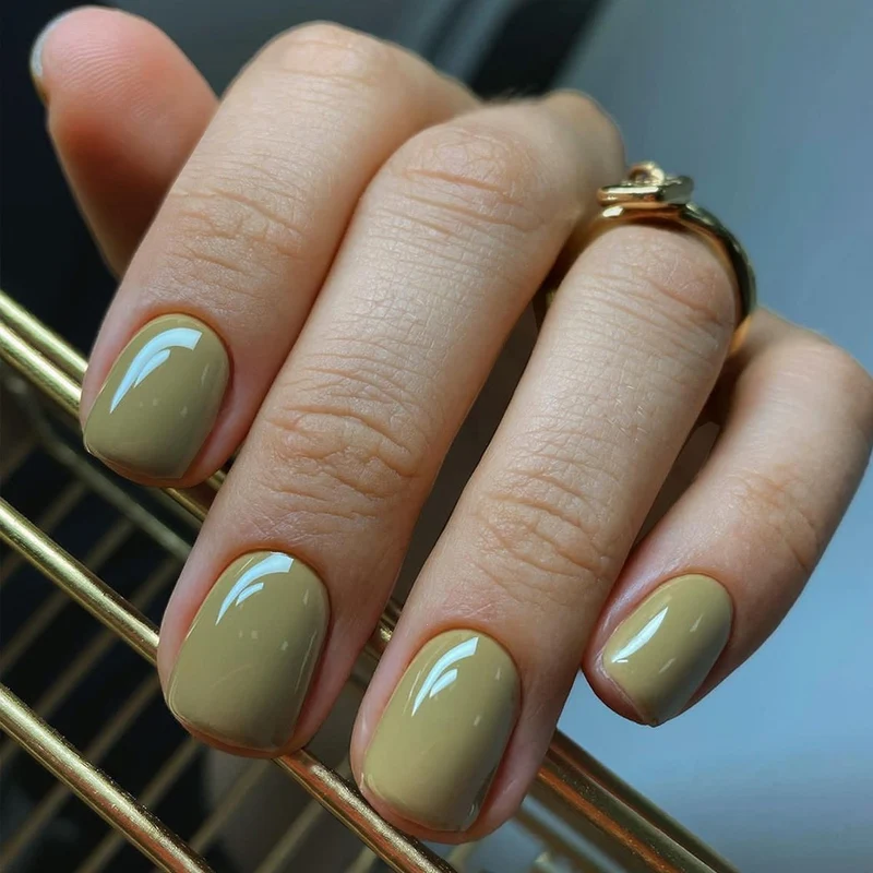 Kunstnagelset mit elegantem Glanz und natürlichem Finish Karnz