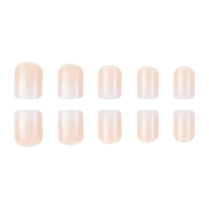 Ombre Nagelkunst Karnz
