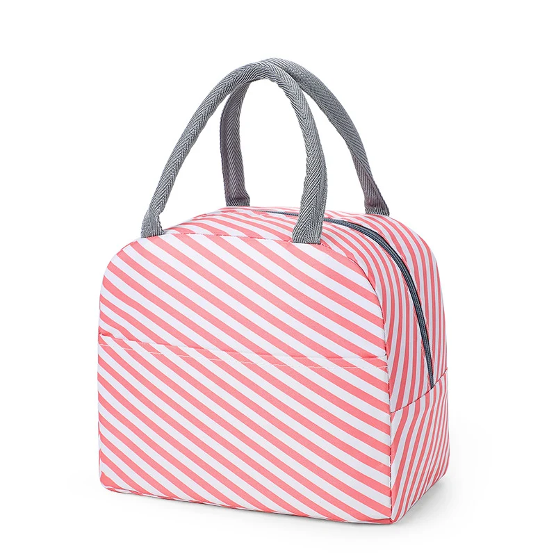 Stylische isolierte Lunch-Transporttasche