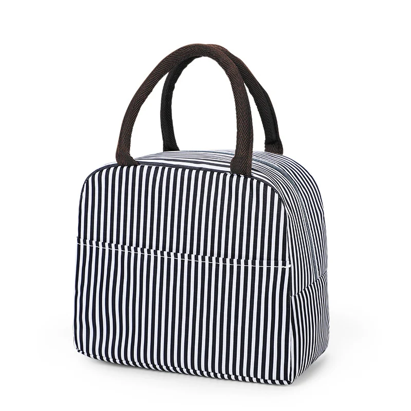 Stylische isolierte Lunch-Transporttasche