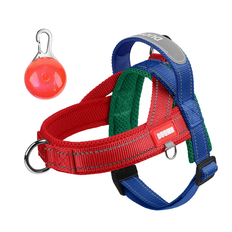 Hundegeschirr gepolstert mit Leine