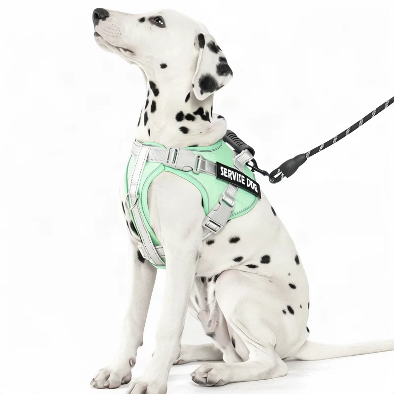 Hundegeschirr aus Polyester mit Leine, mehrere Größen