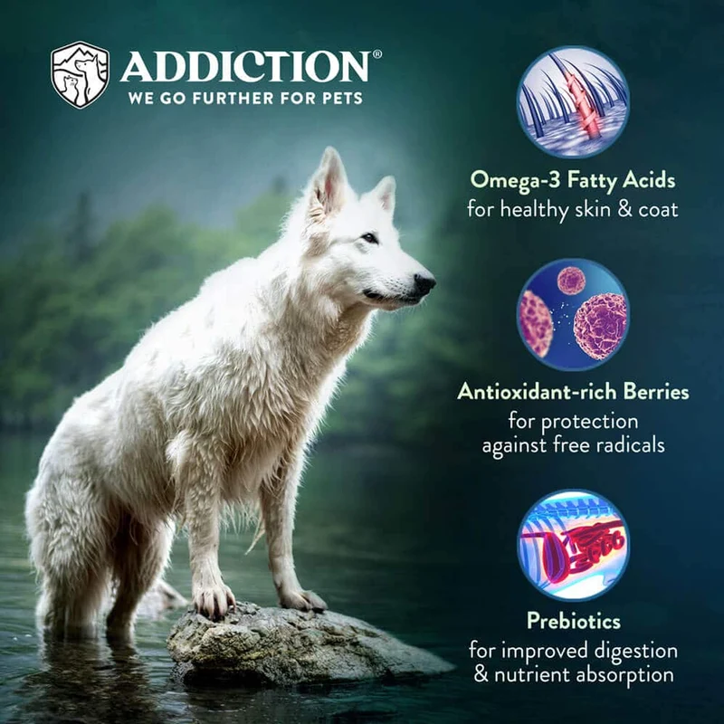 Addiction Le Lamb Grain-Free Skin & Good Digestion Dry Dog Food