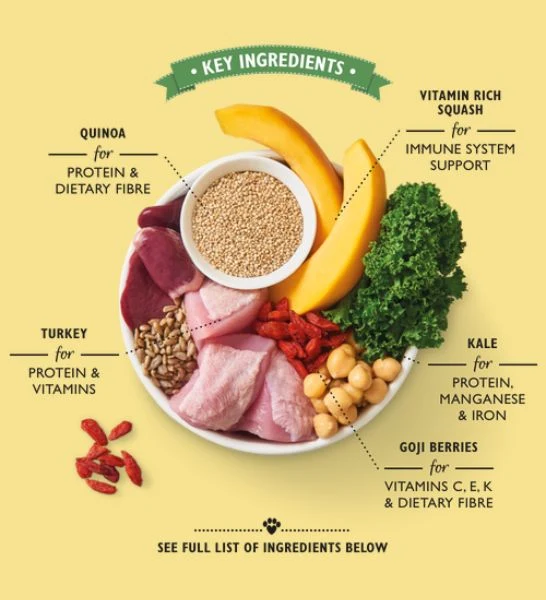 Lily's Kitchen Lean Machine Canned Wet Dog Food