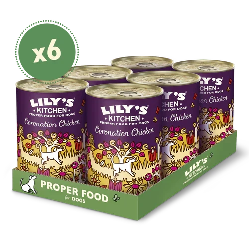 Lily's Kitchen Coronation Chicken Wet Dog Food