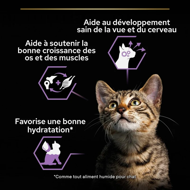 Purina Pro Plan Baby Kitten Mousse Healthy Start Chicken Wet Cat Food