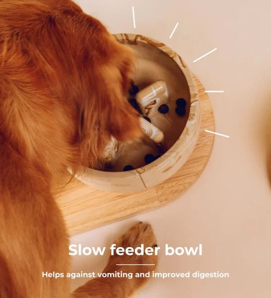 Pino Sand-made Slow Feeder Foxy Terra Large